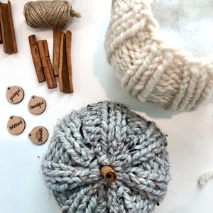Peut inclure: Une citrouille tricot&eacute;e grise avec une tige en b&acirc;ton de cannelle. La citrouille est entour&eacute;e de fournitures d'artisanat, y compris de la ficelle, des b&acirc;tonnets de cannelle et des &eacute;tiquettes en bois avec des mots comme "reconnaissant", "reconnaissant" et "b&eacute;ni".