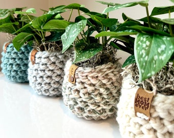 Faux Plant with Chunky Crochet Cozy Best Mom Ever Gift Loved Teacher Appreciation Desk Decor Friend Gift Flower Cozy Valentine's Day