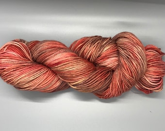 Hand dyed Sport Weight Yarn Variegated 100% Superwash Merino 2 Ply - Cinnemeg Colorway