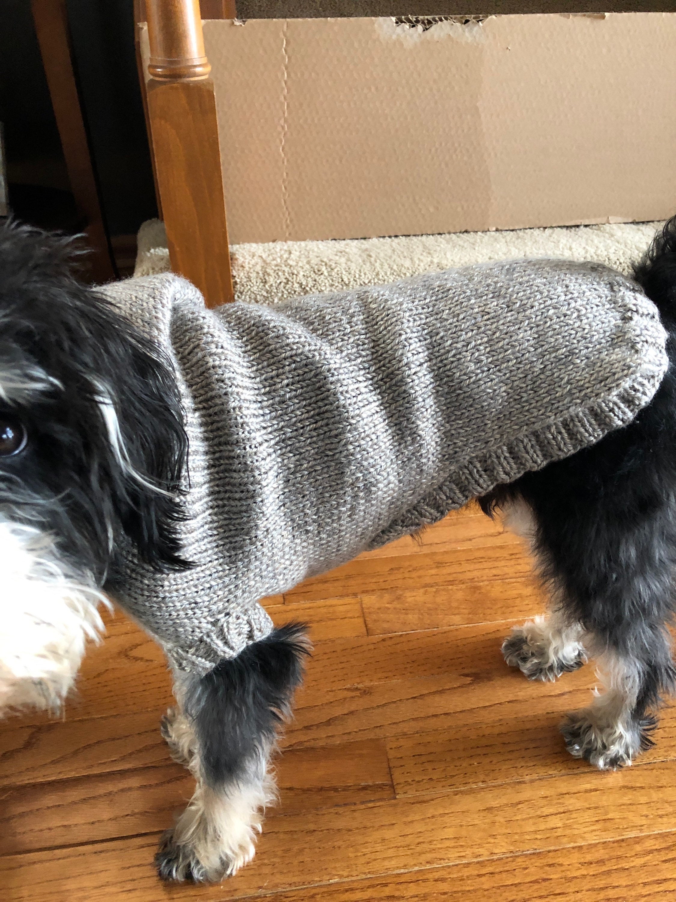 Hooded Dog Sweater With Hood Handknit Medium 18 Chest Hoodie Etsy New