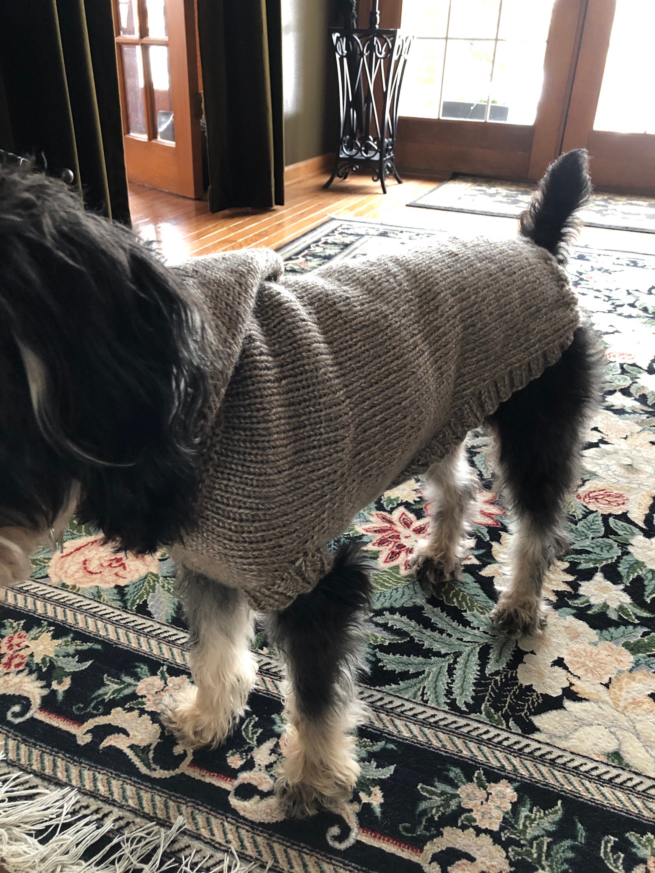 Hooded Dog Sweater With Hood Handknit Medium 18 Chest Hoodie Etsy New