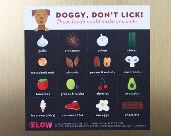 Toxic Foods For Dogs Magnet – Illustrated Dog Owner Gift