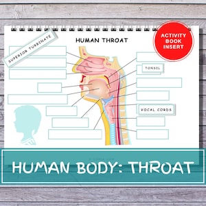 Human THROAT Anatomy Quiet Busy Activity Book Insert Children Early Learning Binder Printable Human Body Preschool Homeschool Montessori