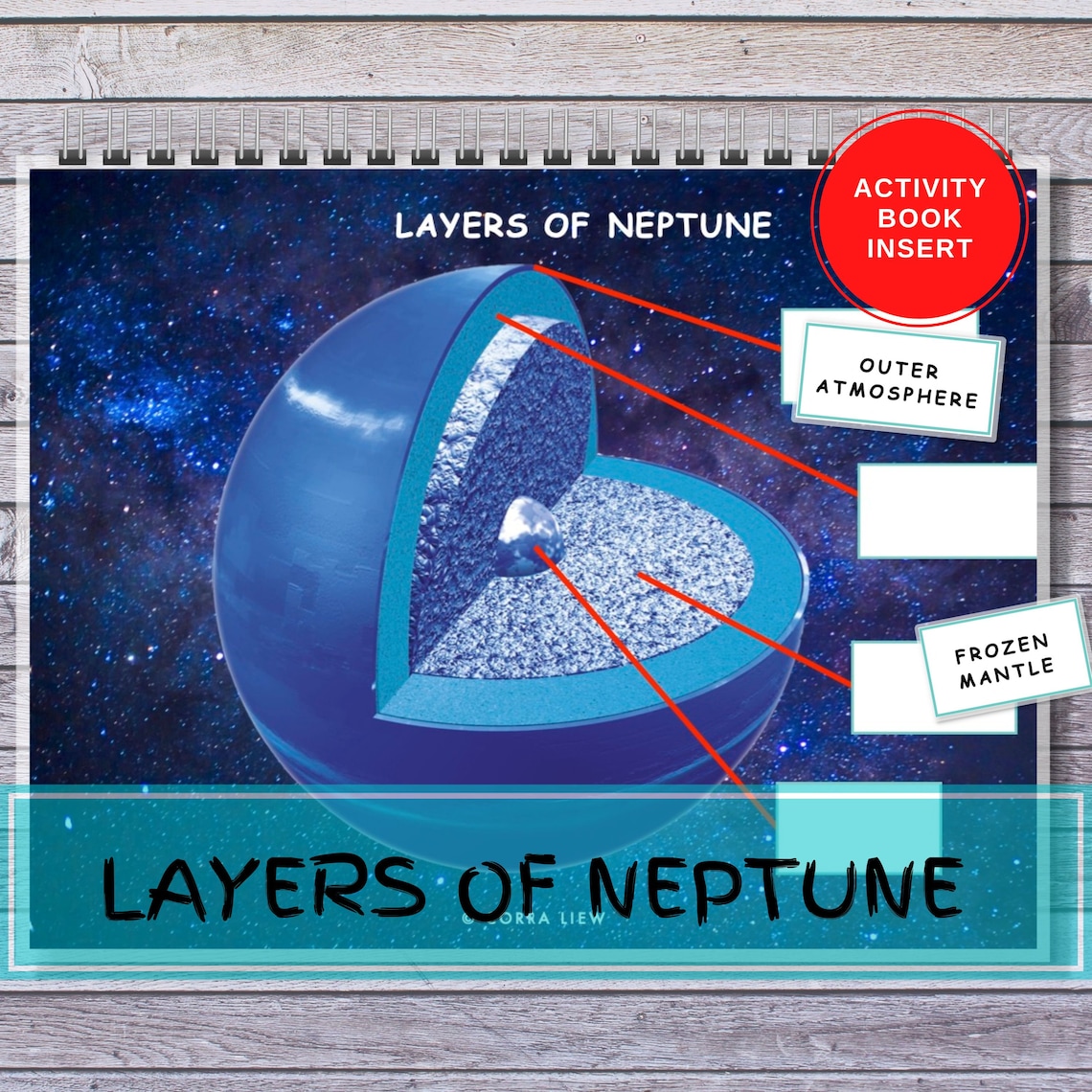Planet Dissection Layers of Planet Neptune Anatomy Busy Book Insert Binder - Etsy