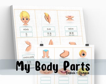 Body Parts Bilingual Learning Book: Chinese English Montessori (PDF)