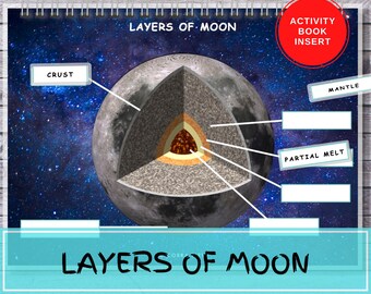 Moon Anatomy Printable, Homeschool Activity Binder Insert (Digital Download)