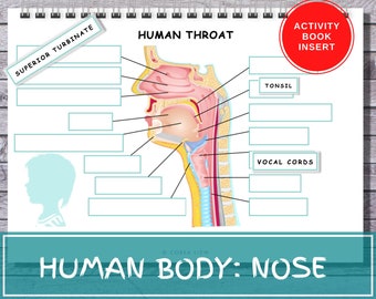 Human THROAT Anatomie Quiet Busy Activity Bucheinsatz Kinder Früherziehung Binder druckbare menschlicher Körper Vorschule Homeschool Montessori