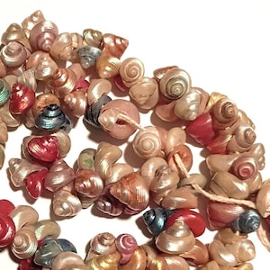 Op de afbeelding: Een close-up van een ketting van kleine, kleurrijke schelpen. De schelpen hebben roze, rode, groene en iriserende blauwe tinten en zijn geregen met een natuurlijke draad, wat een decoratief element creëert.