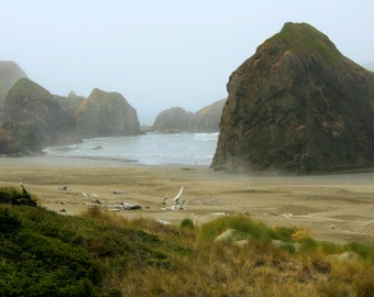 Fogged In - Nature Art Photograph