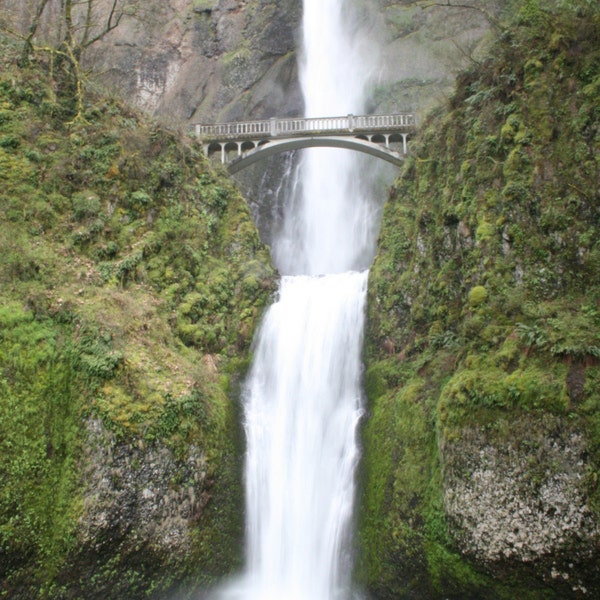 Multnomah Bridge - Nature Art Photograph