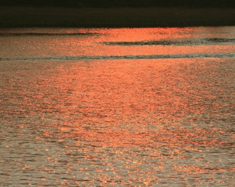 Shimmering Fire - Nature Art Photograph