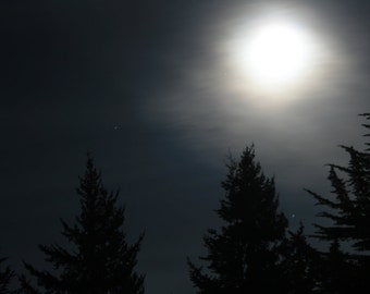 Wolf Moon - Nature Art Photograph