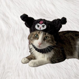 Cat Hat, Hats for Cat, Cat Clothing, Cat Wears, Cat Wearing hat, Pet Hats