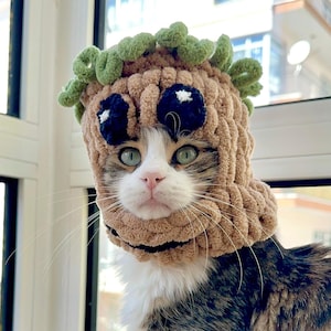 Cat hat, Cute Cat gifts, cat accessory, Unique Cat hats, Hat for cat