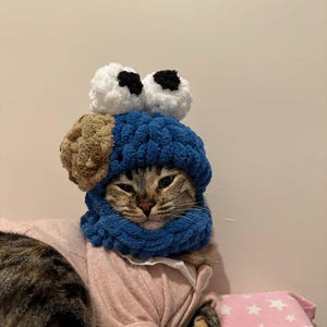 Hat for cat, Crochet for cats, cat gifts, unique cat gift
