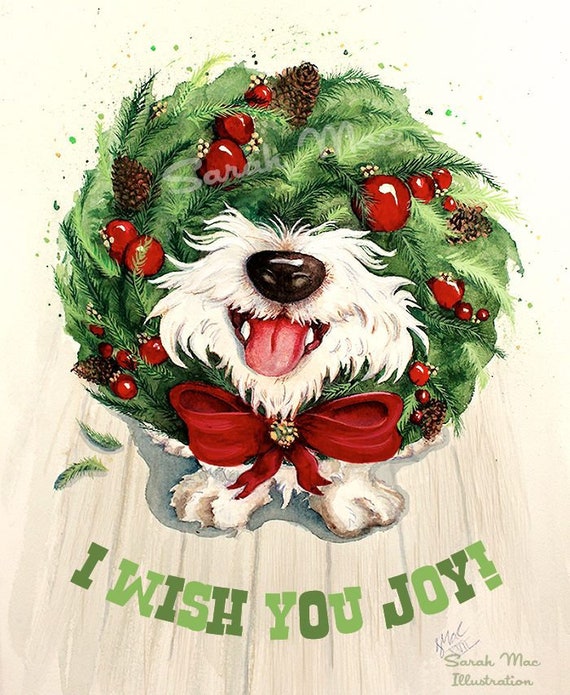 merle american bully price