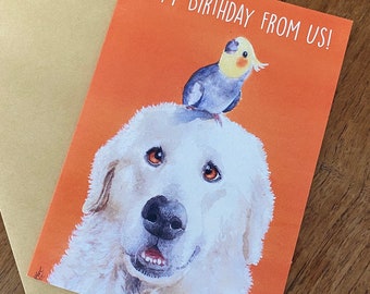 Happy Birthday From Us! - Maremma & Cockatiel farm blank greeting card for friend or family birthday Pyrenees