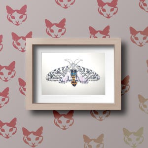 Riesenleopard Motte Aquarell Original handgefertigte Kunst (Hypercompe scribonia)