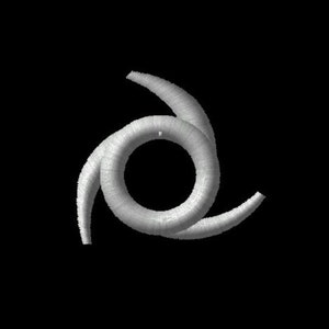 May include: A white, three-dimensional, stylized swirl design with a circular opening in the center.
