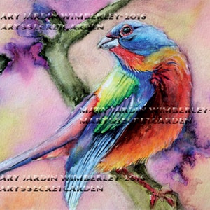 Painted Bunting Art, Watercolor Bird, Colorful Bird Print, Painted Bunting, Watercolor Print, Bird Totem, Bird Painting,Painted Bunting Bird