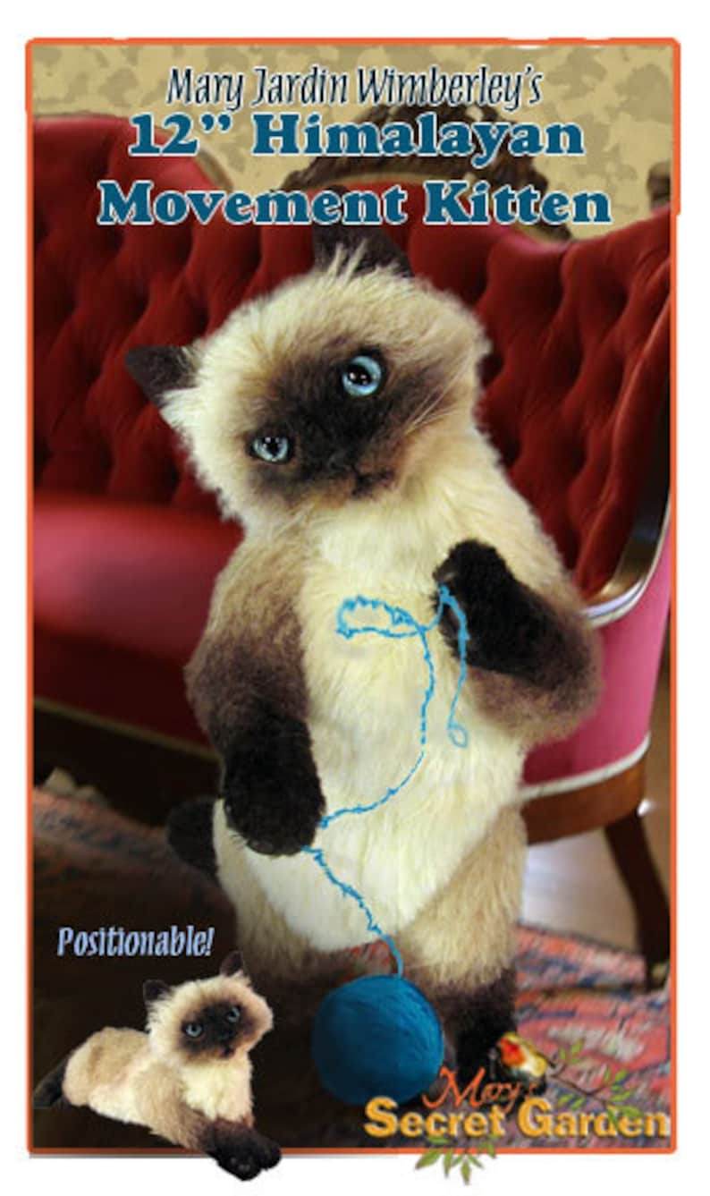 cat teddy