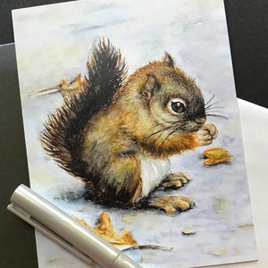 5 Baby Squirrel Cards, 5 Woodland Cards, Squirrel Card Set, Watercolor Squirrel, Cute Baby Squirrel, 5 Note Card Pack, Gift Note Cards