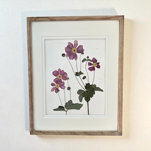 Pressed Japanese Anemone Framed Art: Natural Wood, Real Flower
