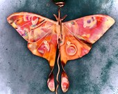 Luna Moth Sun Catcher Window Jewelry Hanging Art Recycled Copper, Glass free Suction Cup