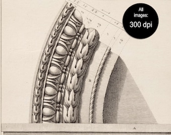 Set of 3 Detailed architecture drawing print, Printable Classic Roman Architecture prints, Architectural Building Design, Digital Download