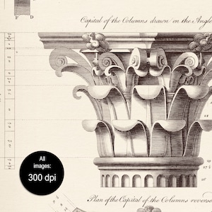 Set of 3 Detailed architecture drawing prints, Classic Roman Column Architecture prints, Gothic print, Pantheon drawing, Digital Download