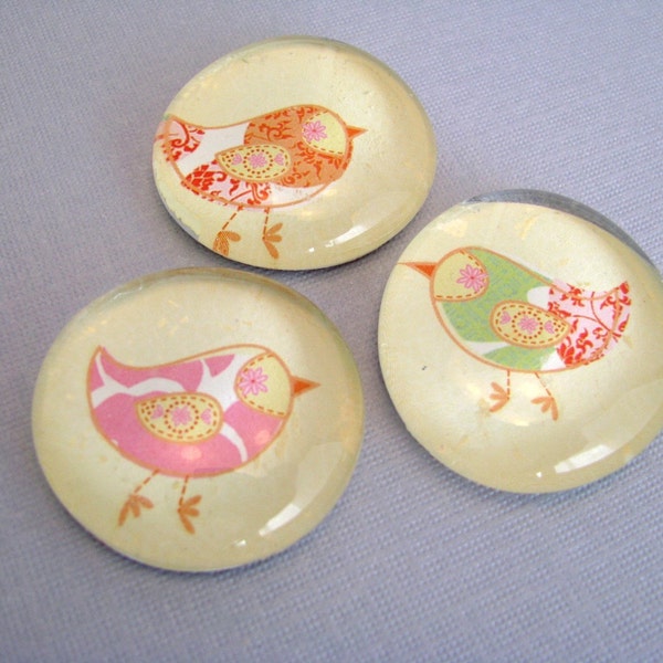 Here Chicky, Chicky Magnet Set of 3