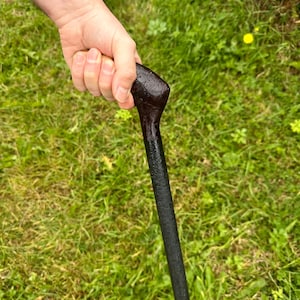 Blackthorn Irish Walking Stick with hazel