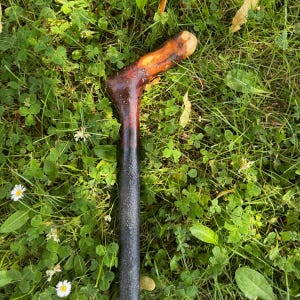 Irish Walking Stick in blackthorn and hazel