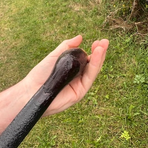 Blackthorn Irish Walking Stick with hazel