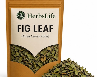 FEUILLE DE FIGURINE | Ficus carica folia bulgare sauvage coupé séché | Tisane, Culinaire, apothicairerie et botanique