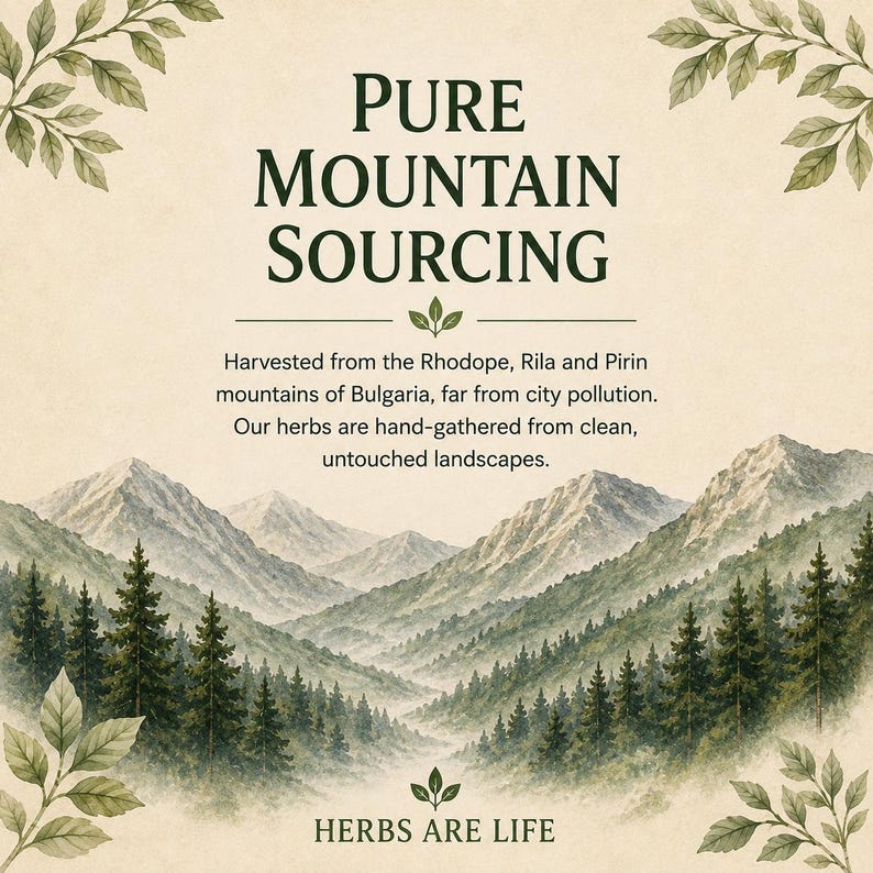 May include: A graphic featuring a watercolour mountain landscape with pine trees and green leaves in the corners. Text reads: PURE MOUNTAIN SOURCING. Harvested from the Rhodope, Rila and Pirin mountains of Bulgaria, far from city pollution. HERBS ARE LIFE.