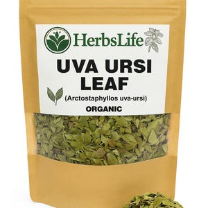May include: A brown paper bag filled with dried green UVA URSI LEAF. The bag has a clear window showing the leaves and a white label with the text "HerbsLife", "UVA URSI LEAF", and "ORGANIC". A small pile of leaves is in front of the bag.