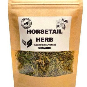Organic horsetail herb | equisetum arvense | horsetail tea | organic herbs | dried herbs | herba | tea