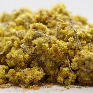 LIFE EVERLASTING FLOWERS | Wildcrafted Bulgarian Helichrysum Arenarium Dried | Herbal Tea, Apothecary & Craft Botanical image 2