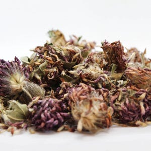 Close-up of dried red clover flowers, vibrant pink-red botanical
www.pureherbslife.com