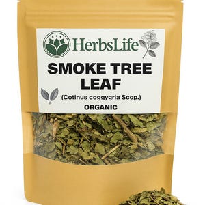 tobacco you put in your mouth File:Dipping tobacco in mouth.jpg tobacco you put in your mouth File:Dipping tobacco in mouth.jpg