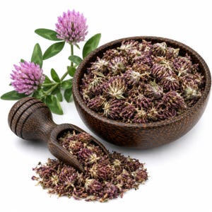 RED CLOVER FLOWER | Wildcrafted Bulgarian Trifolium Pratense Dried | Herbal Tea, Wellness Blend, Apothecary & Botanical image 3