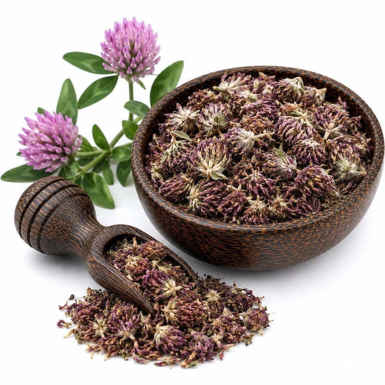 RED CLOVER FLOWER | Wildcrafted Bulgarian Trifolium Pratense Dried | Herbal Tea, Wellness Blend, Apothecary & Botanical image 3