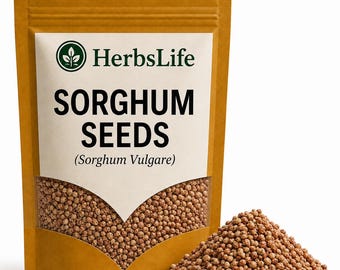 SORGHUM SEEDS Dried | Sorghum Vulgare | Bulk Cooking Baking Culinary Grain Food Ingredient
