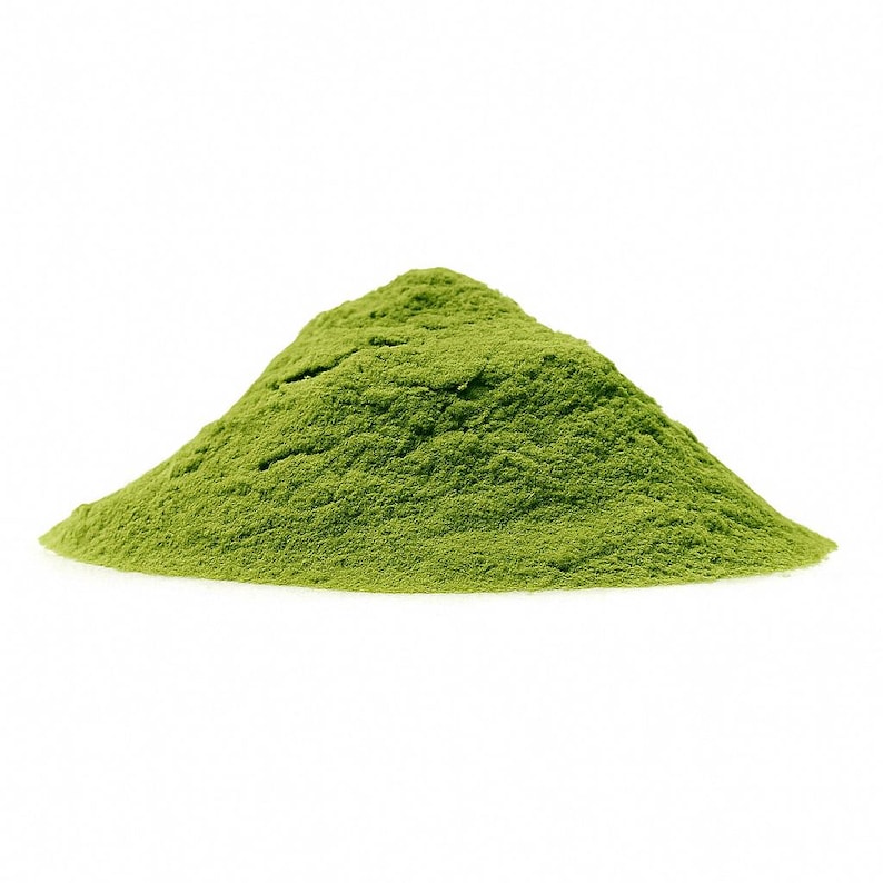 Close-up of moringa leaf powder, vibrant green botanical
www.pureherbslife.com