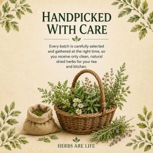 May include: A brown woven wicker basket filled with green herbs and white chamomile flowers, accompanied by a small burlap sack of herbs and loose sprigs. The text reads: HANDPICKED WITH CARE, Every batch is carefully selected, HERBS ARE LIFE.