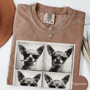 Pu&ograve; includere: T-shirt color espresso con una grafica di un chihuahua con occhiali da sole in un design a quattro pannelli. La maglietta ha un girocollo e maniche corte. Una collana d'argento con un piccolo ciondolo poggia sulla maglietta.