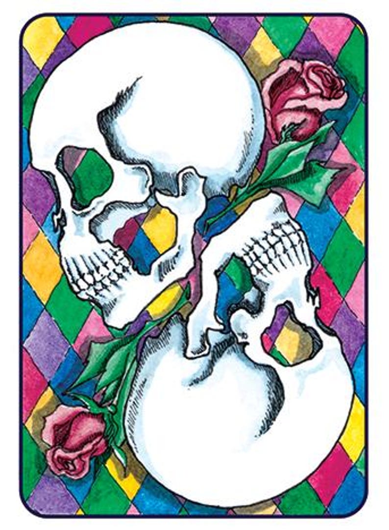 Pode incluir: Dois cr&acirc;nios brancos com estrutura &oacute;ssea detalhada est&atilde;o entrela&ccedil;ados com um caule verde e duas rosas cor-de-rosa. O fundo &eacute; um padr&atilde;o xadrez colorido.