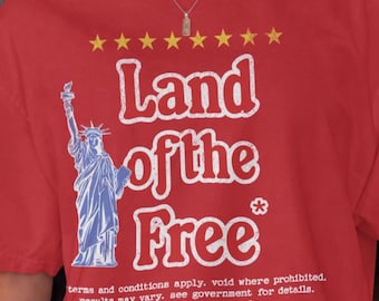 Funny 4th of July Tshirt, Sarcastic Patriotic Humor Tee,  Retro USA Freedom Shirt,  USA 250th 1776-2026,  Fourth Independence Day Americana
