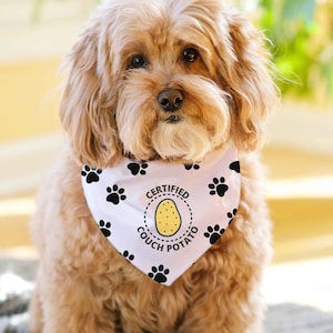 Puede incluir: Un perro esponjoso de color marr&oacute;n claro que lleva un pa&ntilde;uelo blanco con huellas de patas negras y el texto "CERTIFIED COUCH POTATO" alrededor de una patata de dibujos animados. El perro est&aacute; sentado sobre una manta de punto gris.